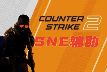 CS2-SNE辅助